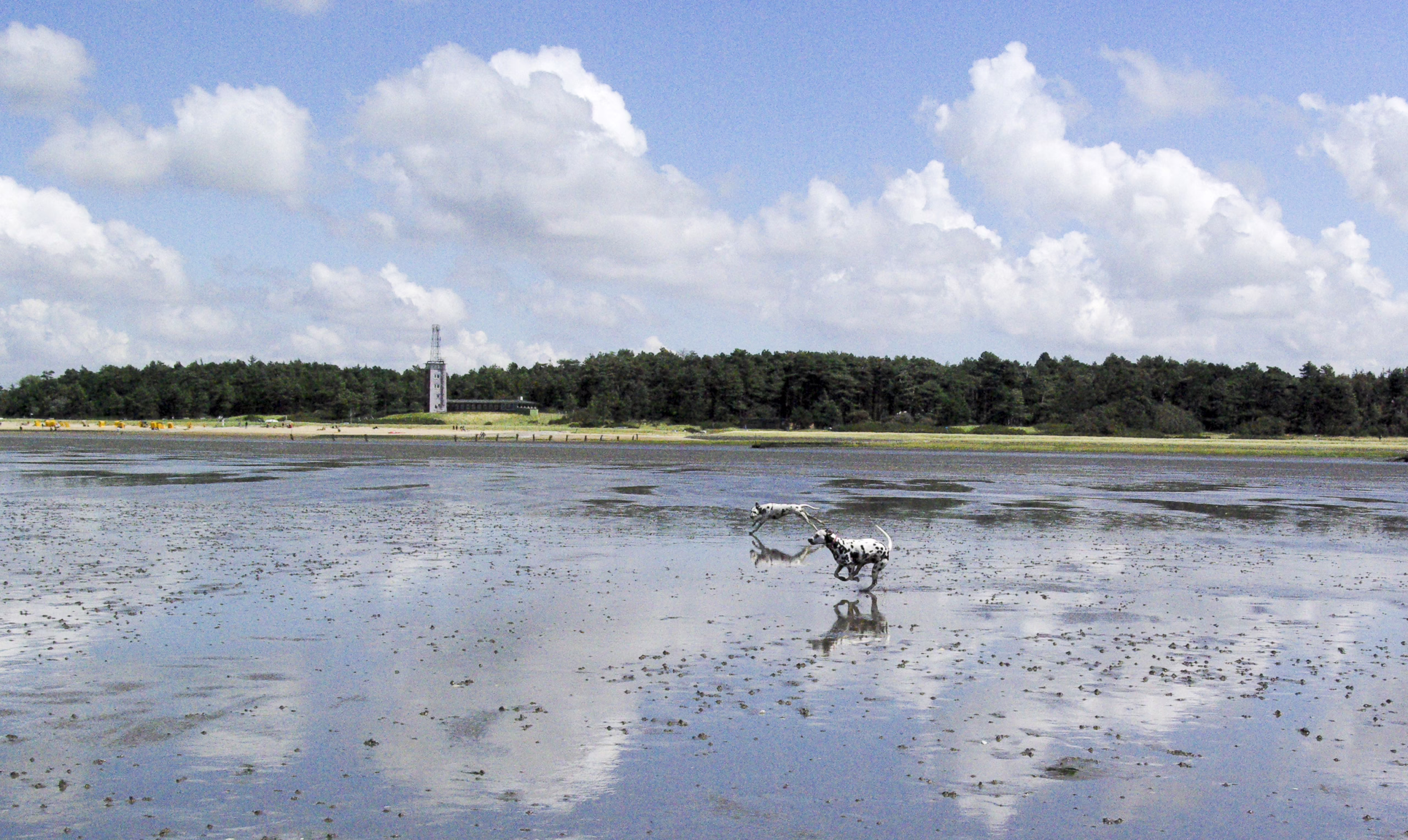Hundestrand, Watt, Ferienwohnung in Sahlenburg