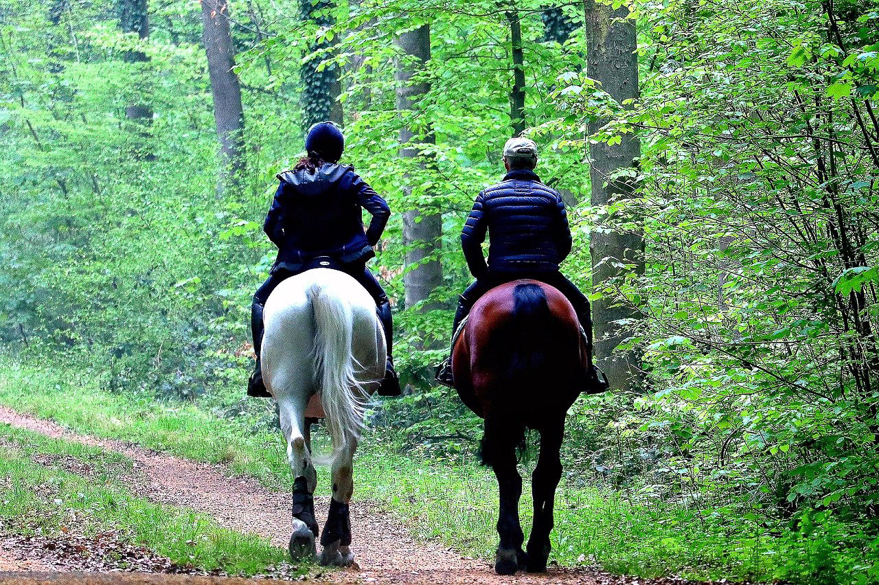 Reiten Ferienwohnung in Sahlenburg